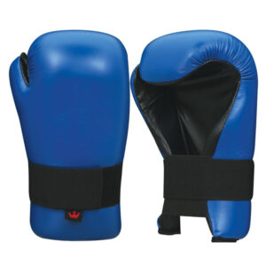 Black High Quality Teakwondo Semi Contact Gloves