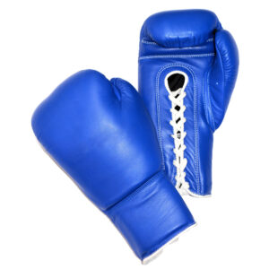 Blue Fighter Gloves