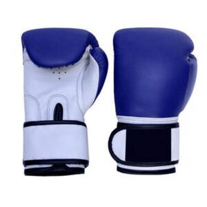 Blue Logo Boxing Gloves For Professionals